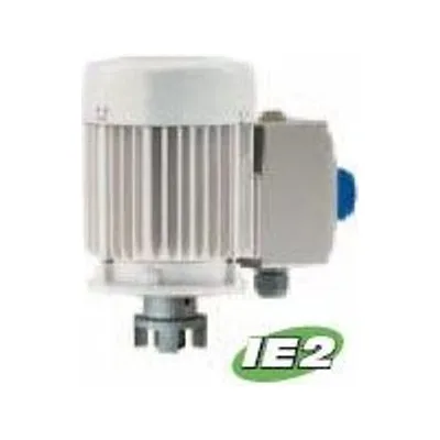 0172-765-1 Lutz Drum Pump Motor